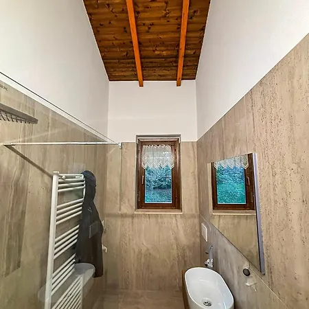 Vista Da Sogno Pino Lago Maggiore