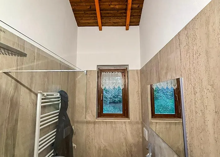 Vista Da Sogno Pino Lago Maggiore