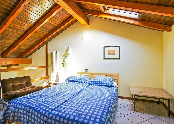 Vista Da Sogno Pino Lago Maggiore